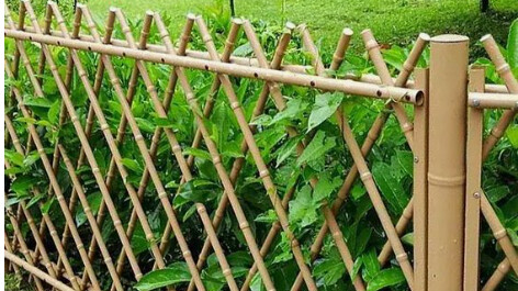 Affordable Bamboo Fencing for Ranch