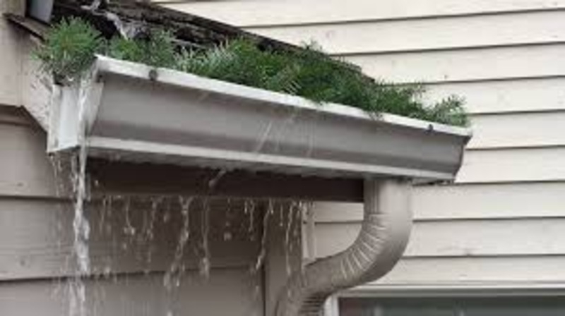 Gutter Waterfall for Downspout