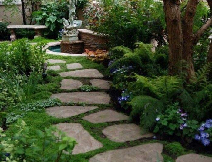 Stepping Stones with Lush Greenery