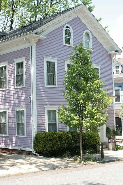 White Stucco House with Muted Lavender