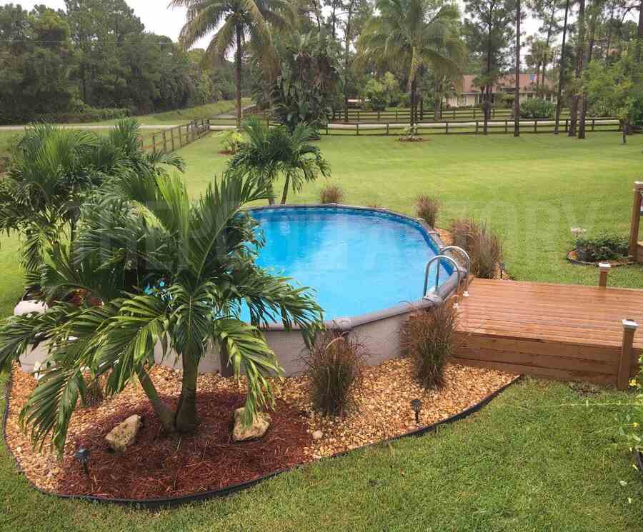 Palm Trees Near Above Ground Pool 