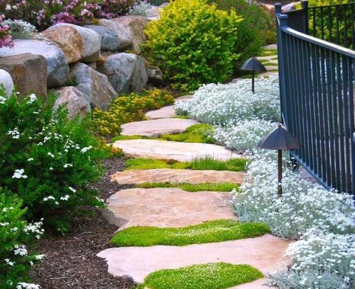 Garden Beauty with Stepping Stones