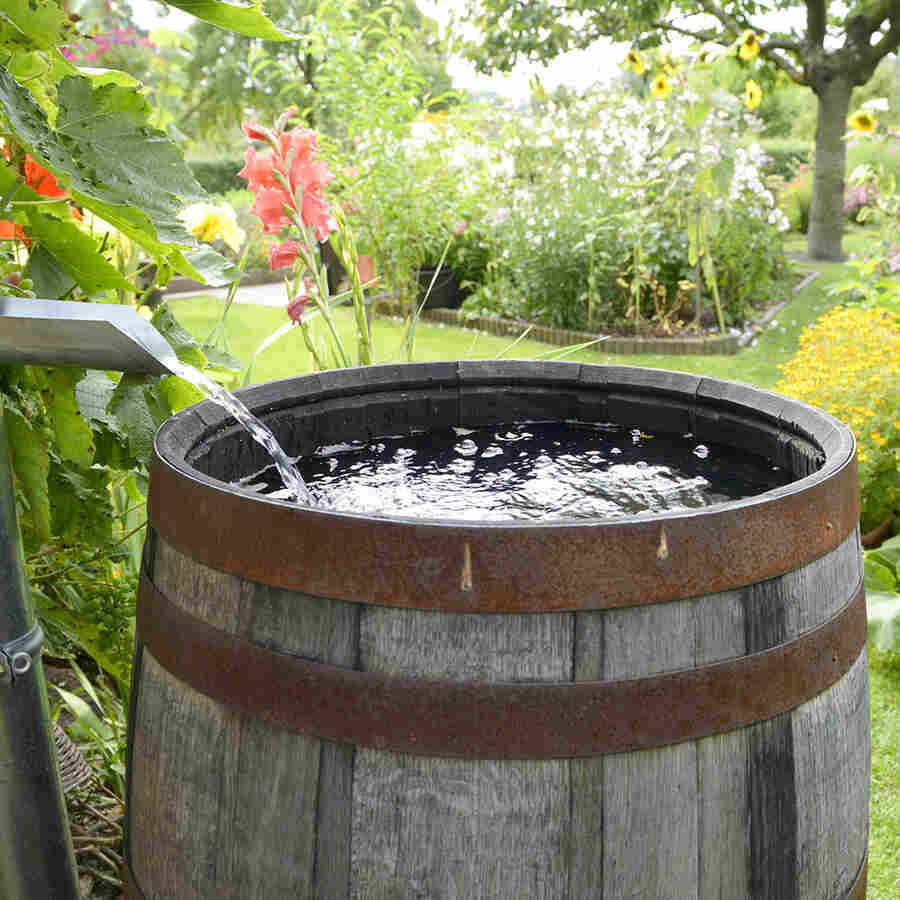 Wooden Rain Barrel