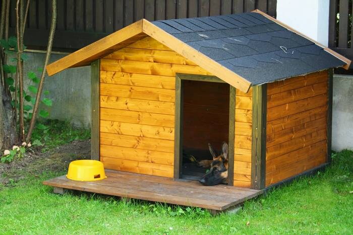 Protective to Elevated Dog House