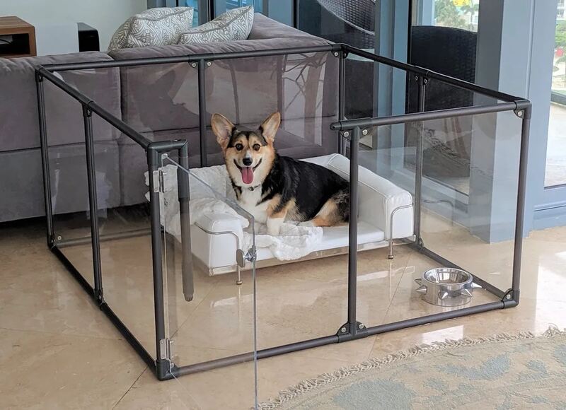 Modern Glass Kennel for Dog