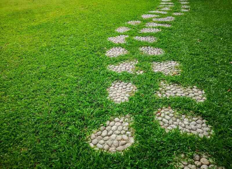 Grass and Gravel Front Walkway