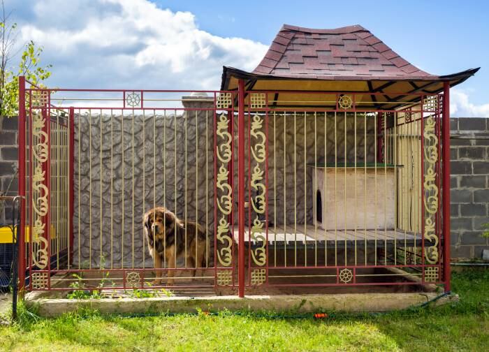 Large Open-Air Dog House