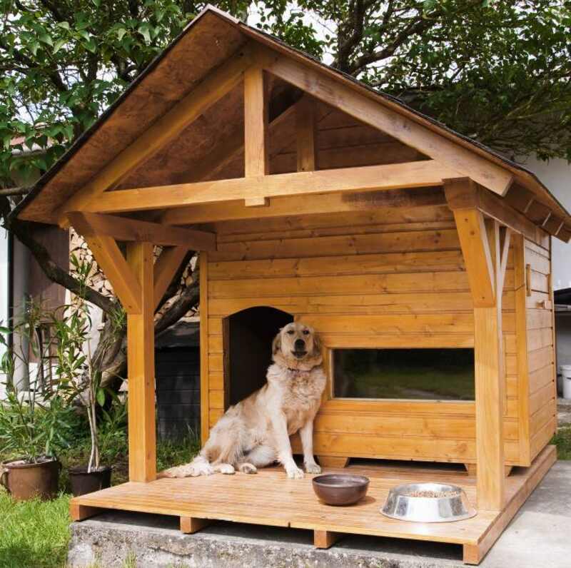 Recycled Porch Deck for Dogs