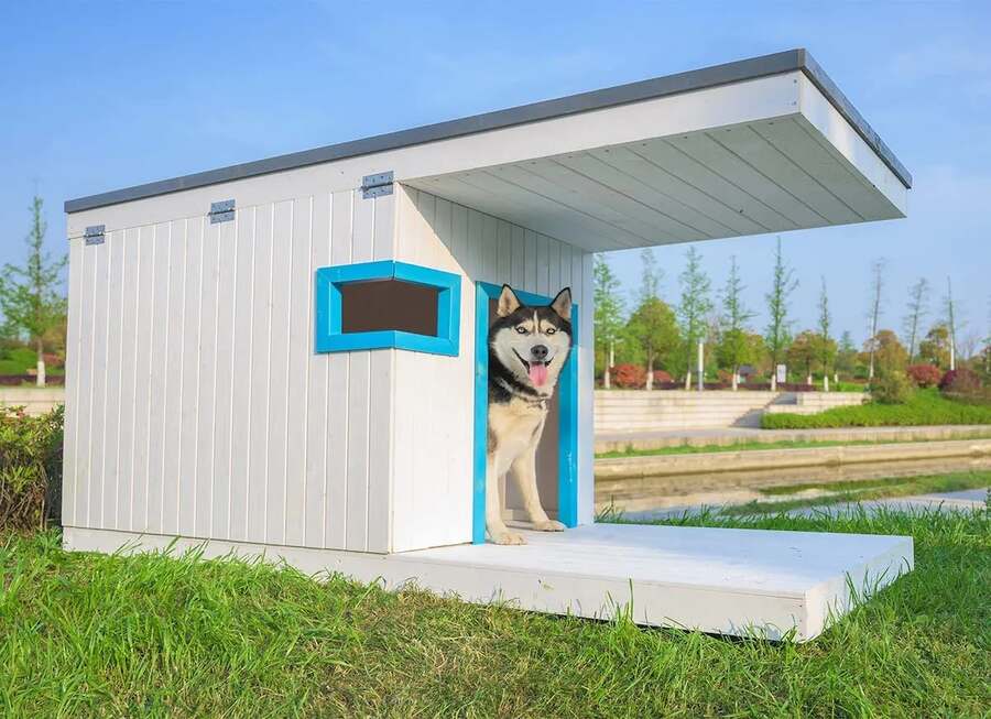 Shielded Porch on a Dog Kennel