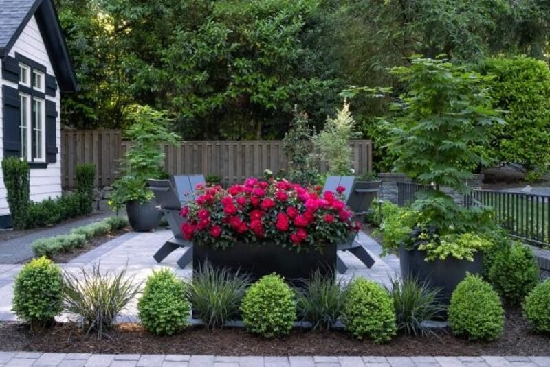 Neatly trimmed hedges enhancing front yard landscaping