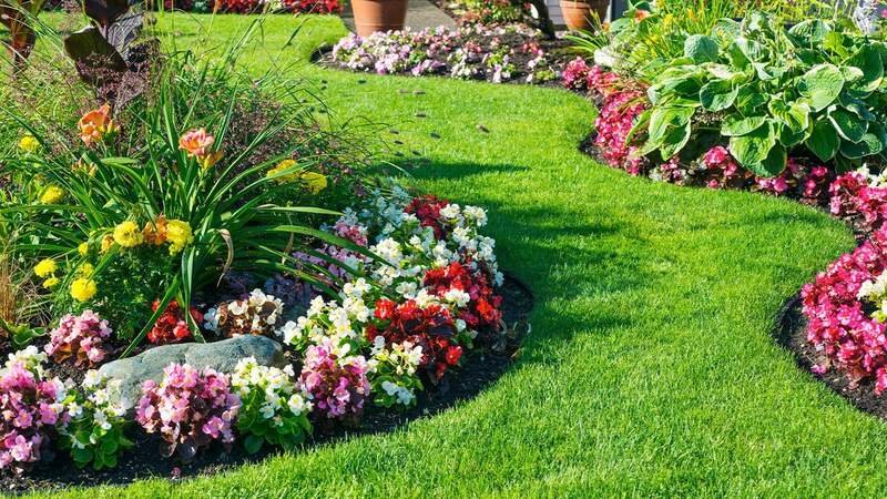 Front yard with vibrant shrubs