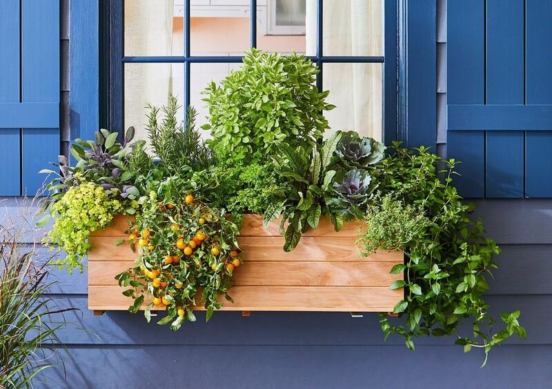 Window boxes with colorful flowers adding charm to the front yard.