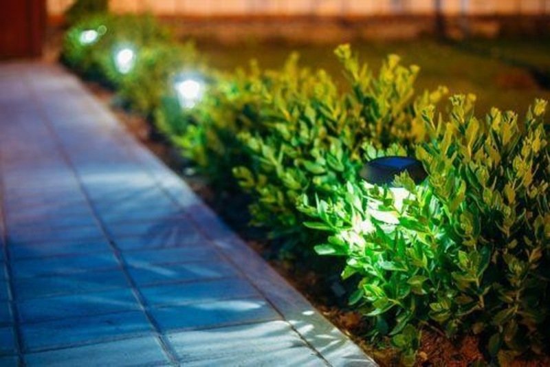 Eco-friendly solar path lights illuminating front yard