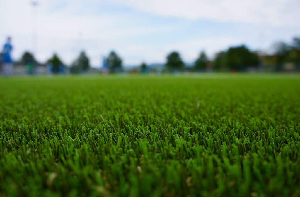 Low-Maintenance Artifical Grass
