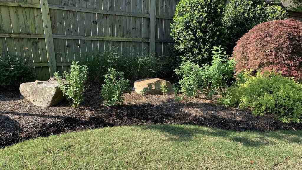 Mulch Beds