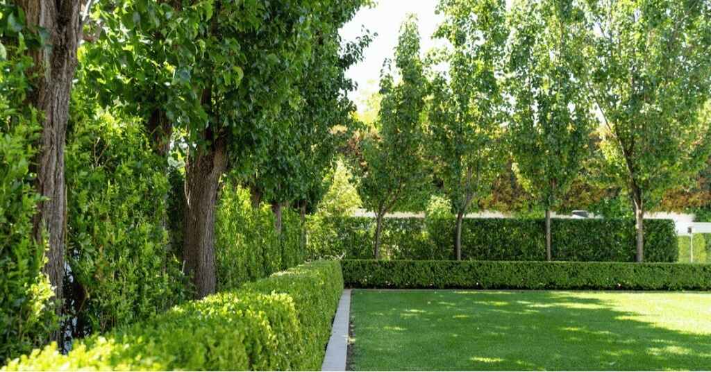 Privacy Hedges