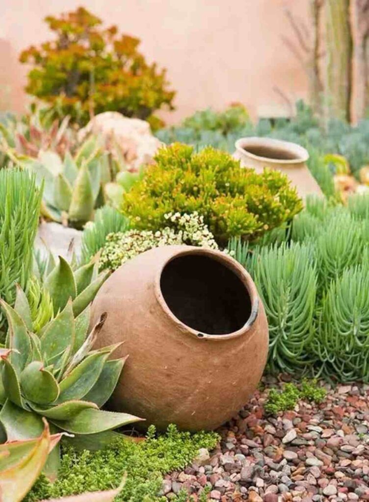 Terracotta Pots