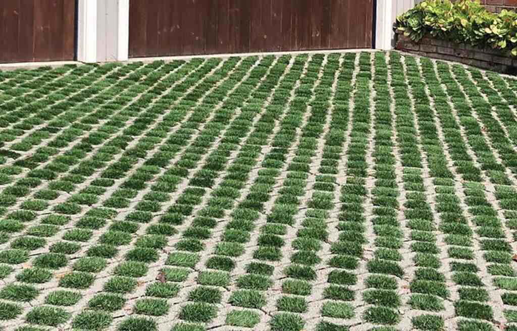 Turfstone Pavers with Grass Growth