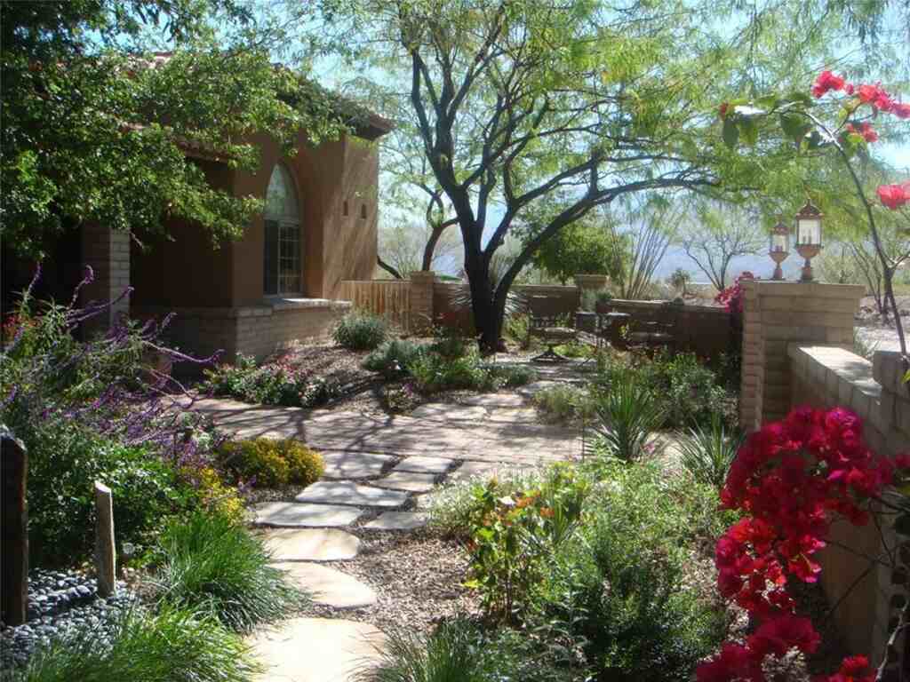 Xeriscaping