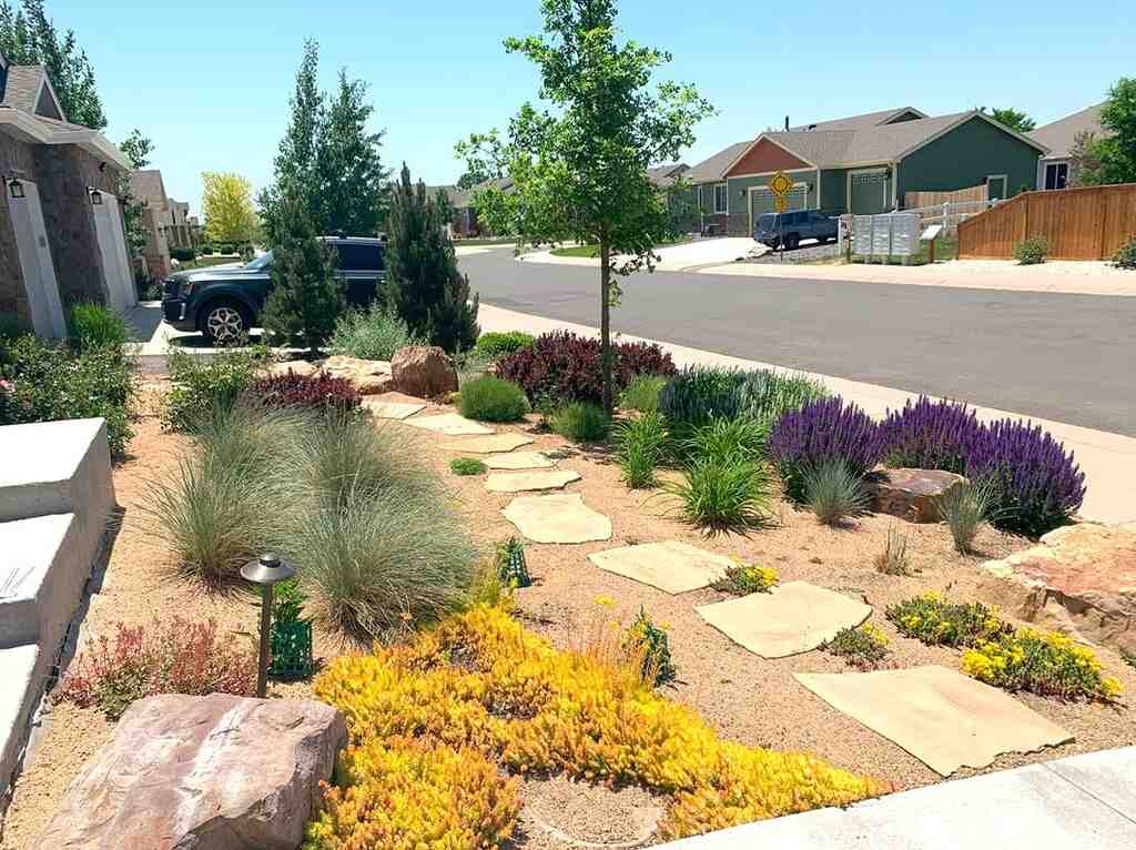 Xeriscaping