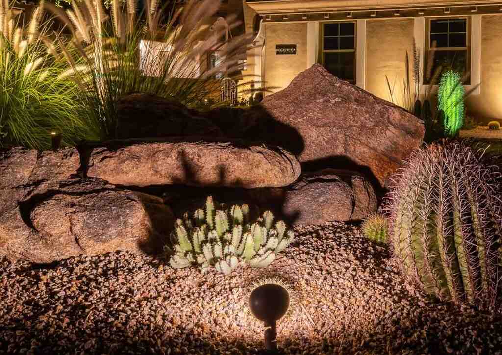 Cactus uplight