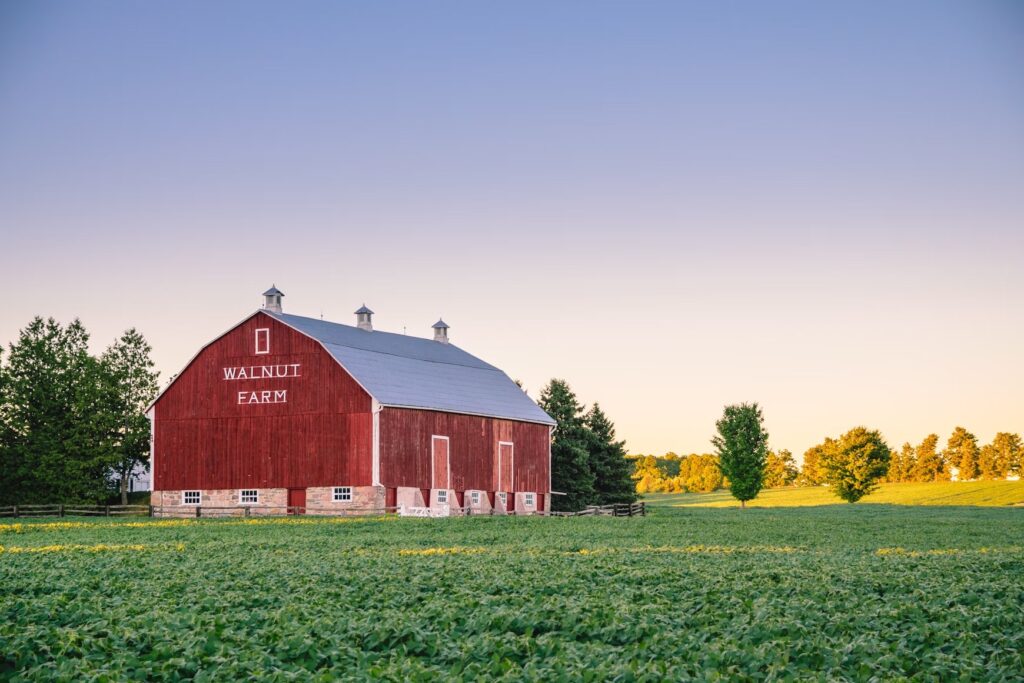 Factors to Consider When Buying a Farm
