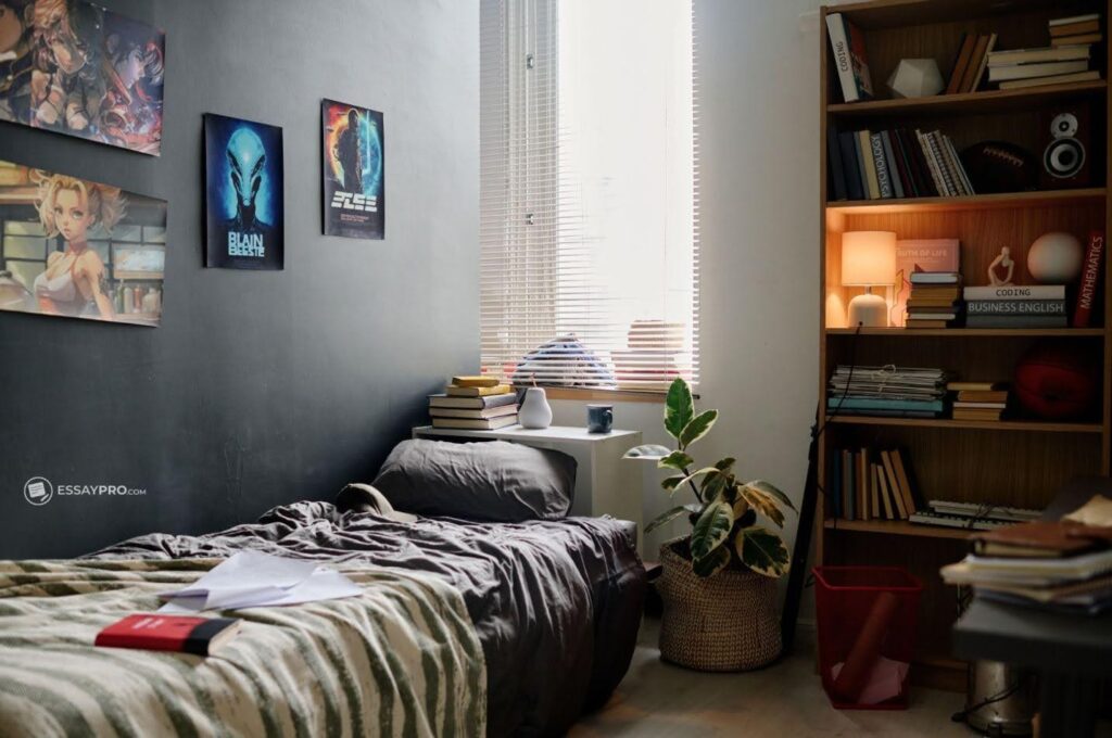Dorm Basics