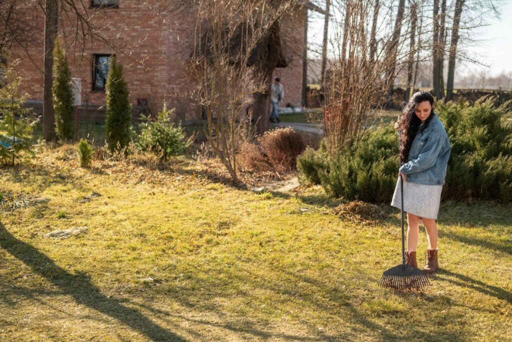 Maintaining Your Lawn and Garden