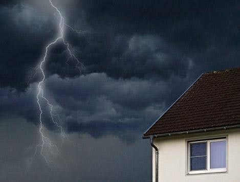 Remove Potential Hazards From the Yard