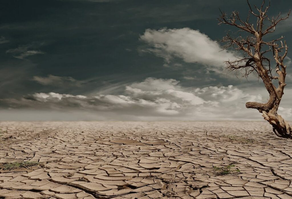 How to Prepare Your Home for Extreme Weather