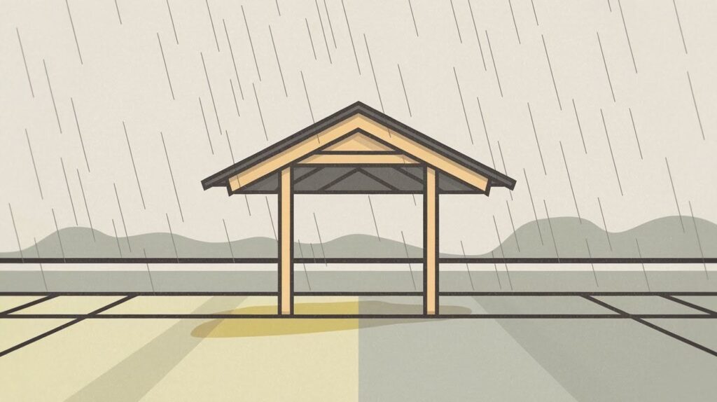 Shed Roof