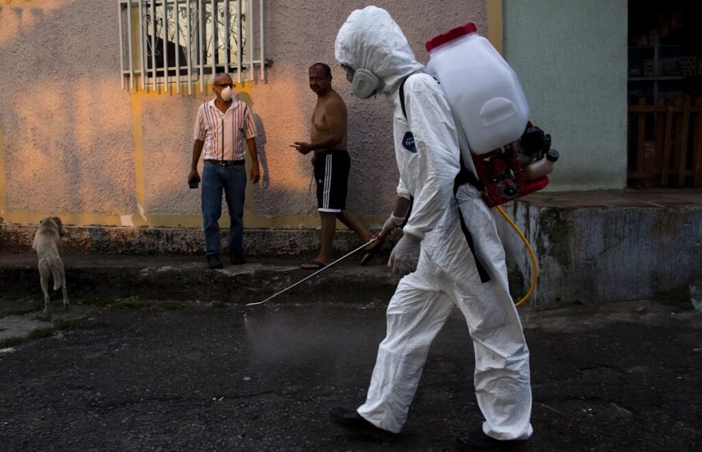 Tips for Effective Pest Control in and Around Your Home