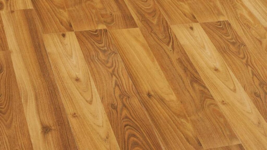 Robina Floors