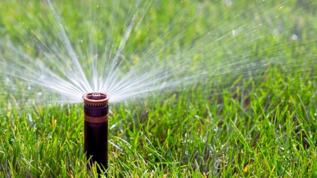 Average Cost to Install Sprinkler System