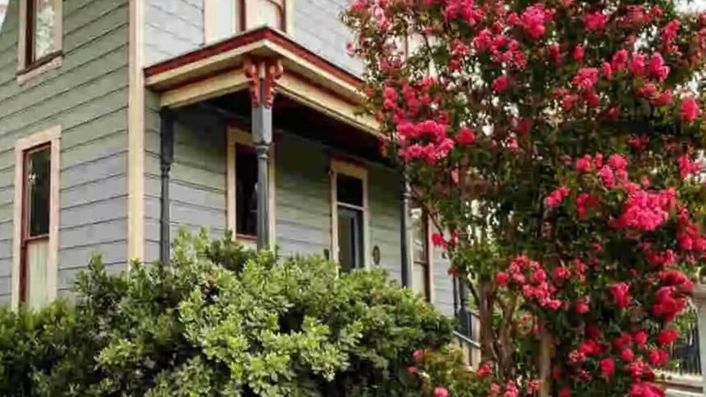 Does Tony Hinchcliffe Have a House in Indianapolis