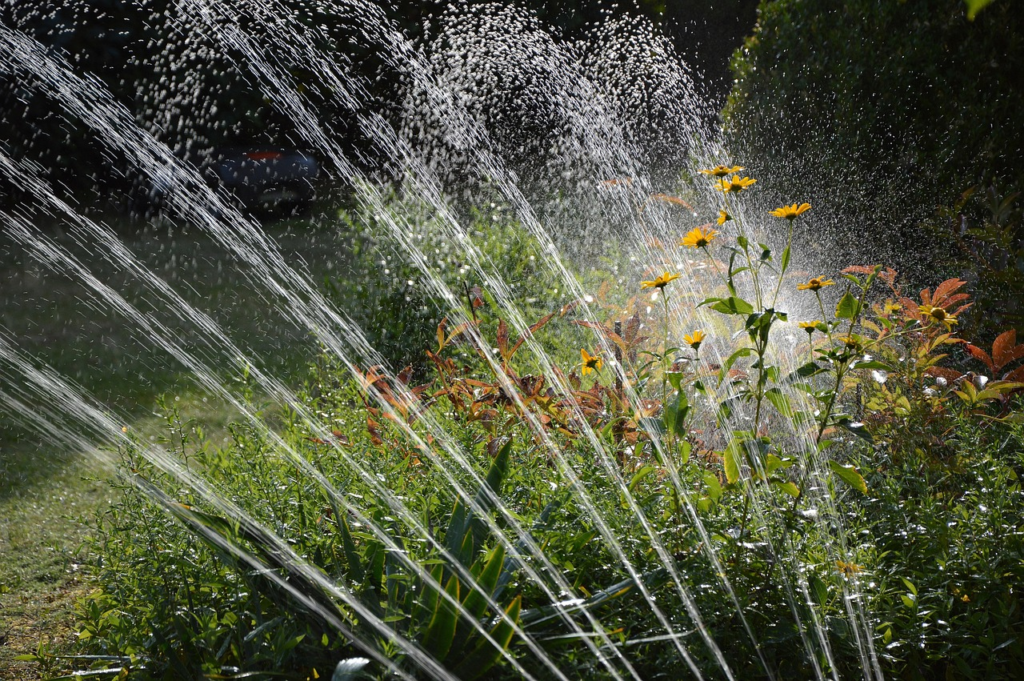 Common Causes of Irrigation System
