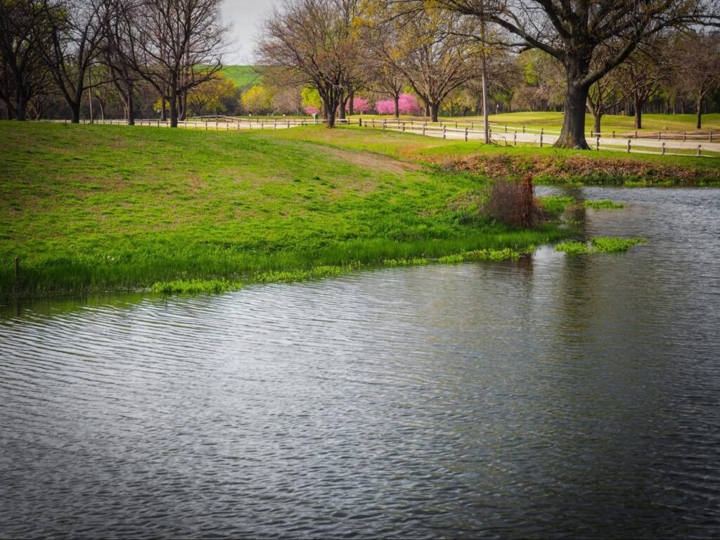 Don't Let Your Lakefront Home Value Sink